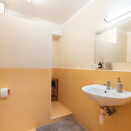 Grape * 布拉迪斯拉发