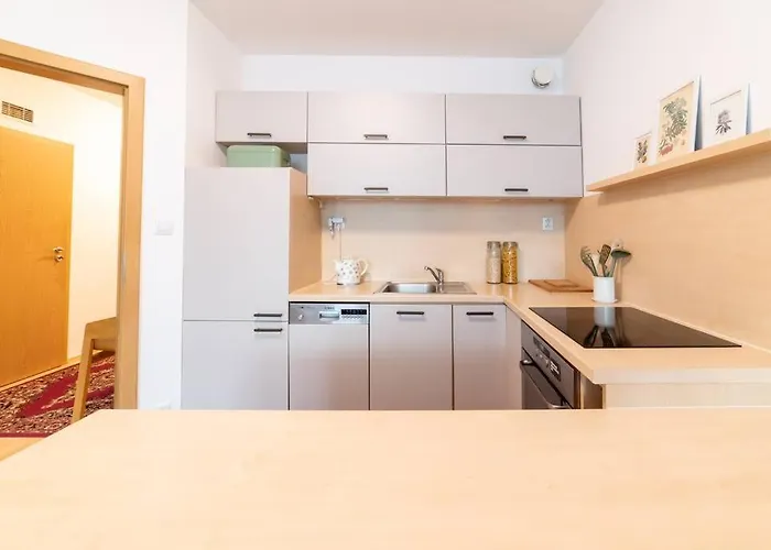 Grape * ブラチスラヴァ