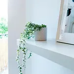 Grape Appartement