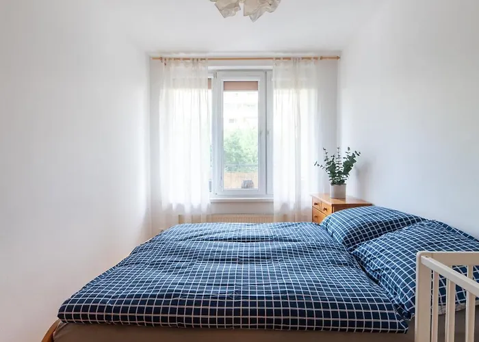 Grape Apartment Pressburg